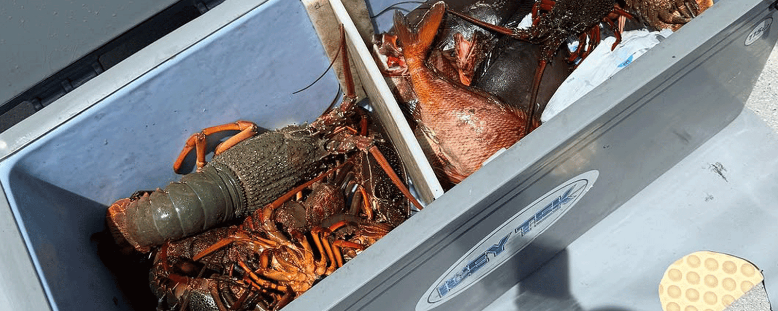 How to Pack a Cooler for a 5 Day Fishing Trip